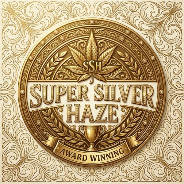 Super Silver Haze gallery thumbnail 2