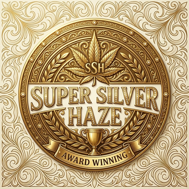 Super Silver Haze